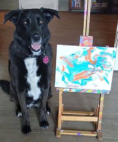 dogs who paint