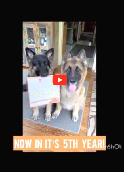 Tripawds Auction