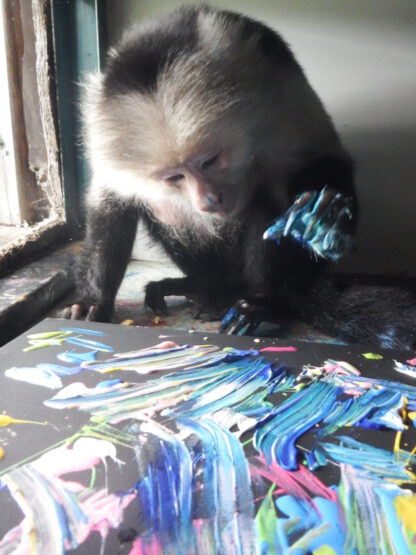 Live & Let Live by Pockets Warhol 2025 Tripawds Dog Art Auction