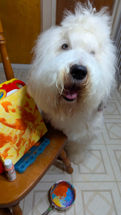Mango Salsa by Ralphie 2025 Tripawds Dog Art Auction