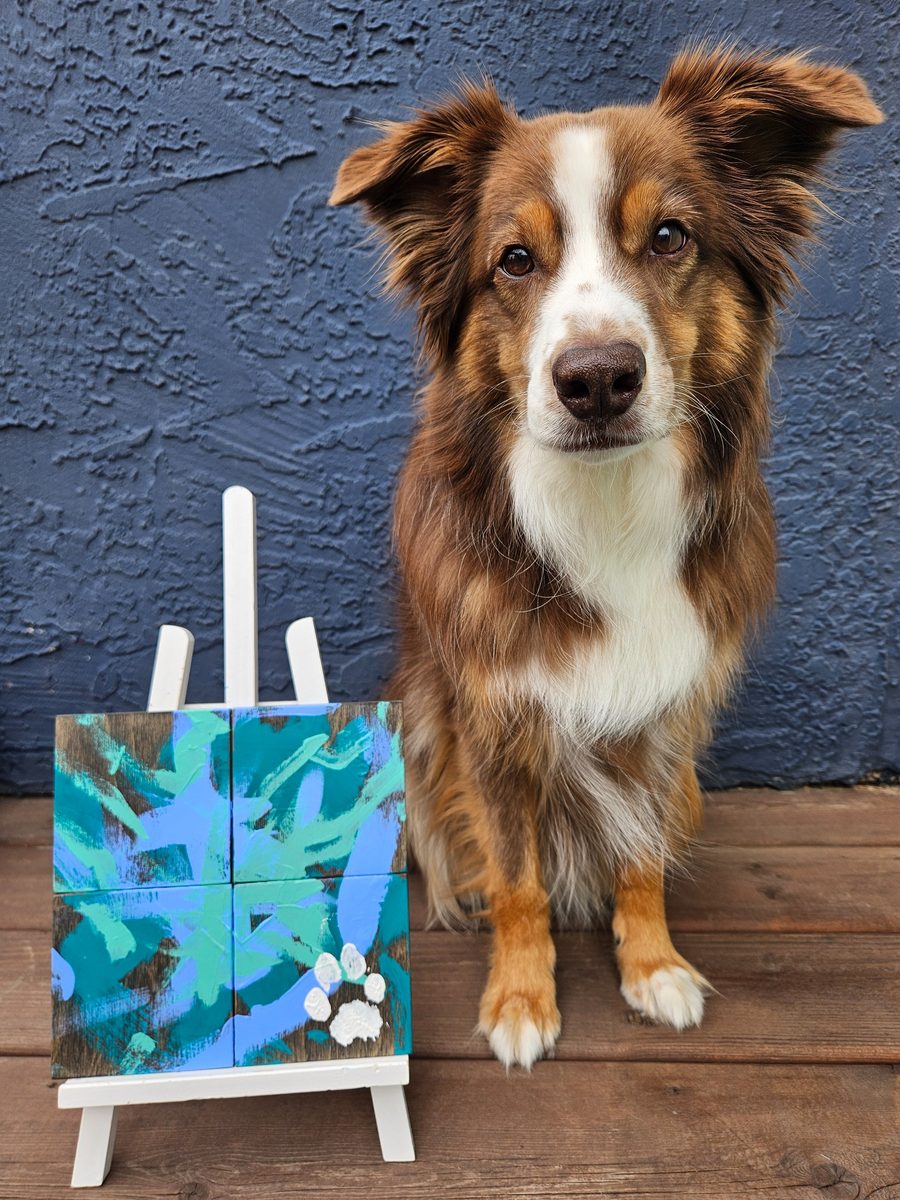 Paws and Pours - Image 4