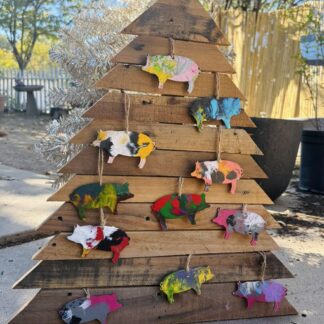 The 12 Days of PIGSMAS