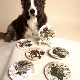 Palette and Pines: A Coaster Collection