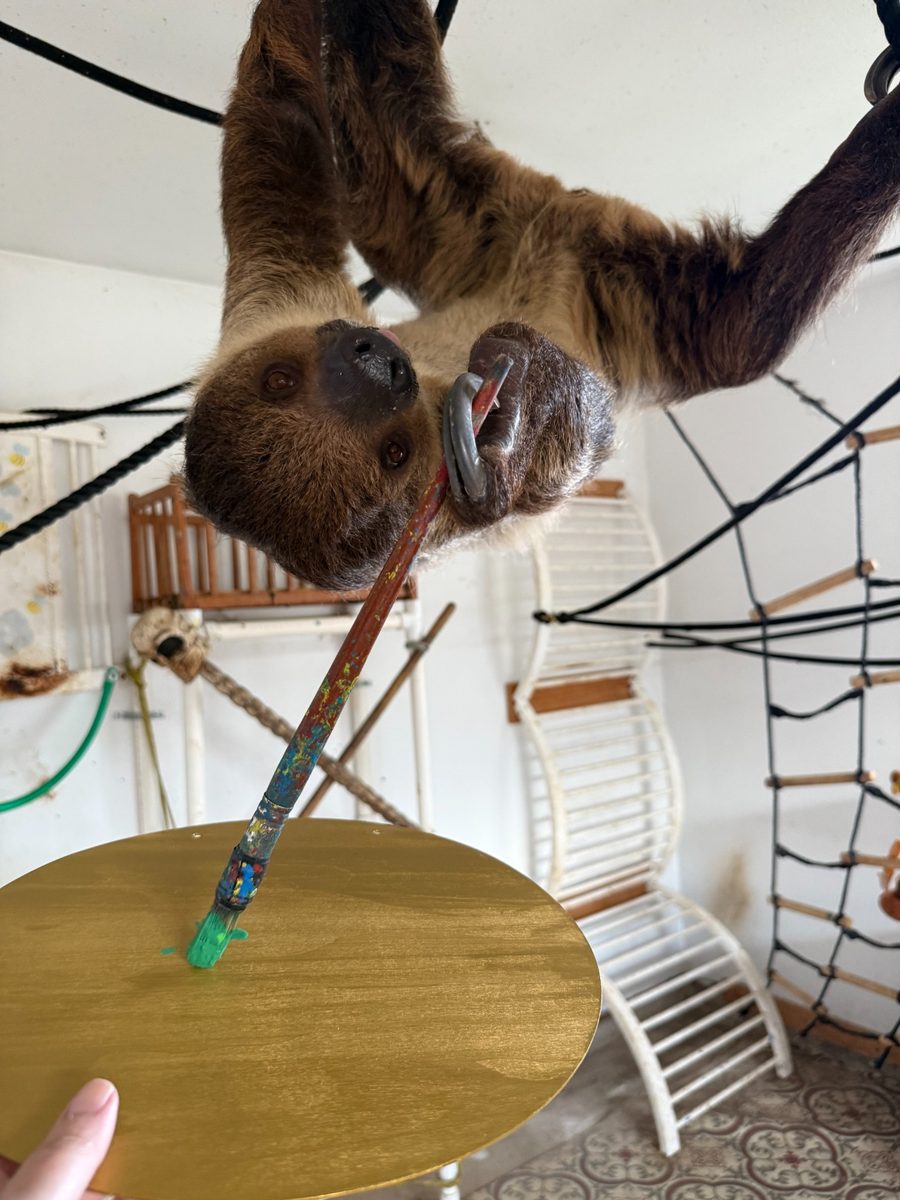 Merry Slothmas - Image 3