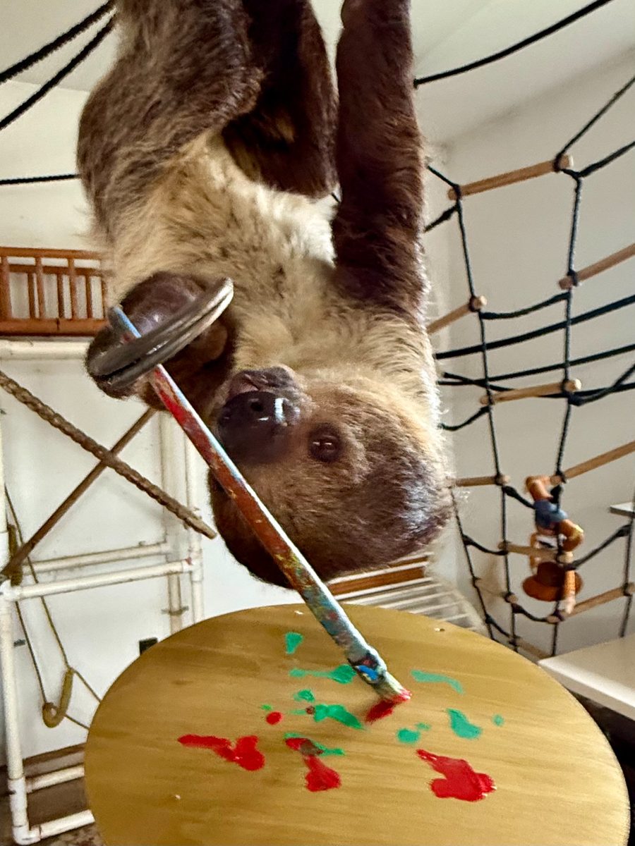 Merry Slothmas - Image 2