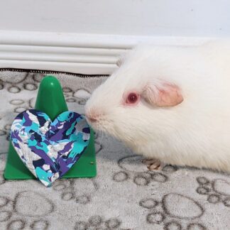 Magnet Set by the Piggies