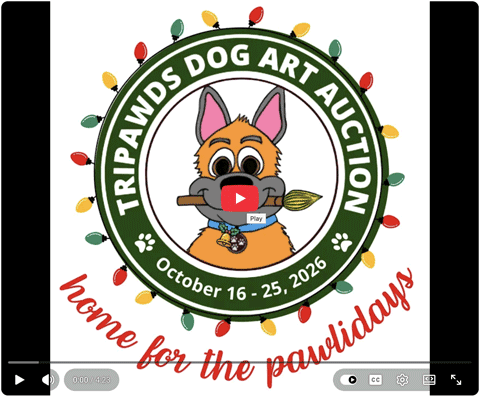 Auction Artists Video